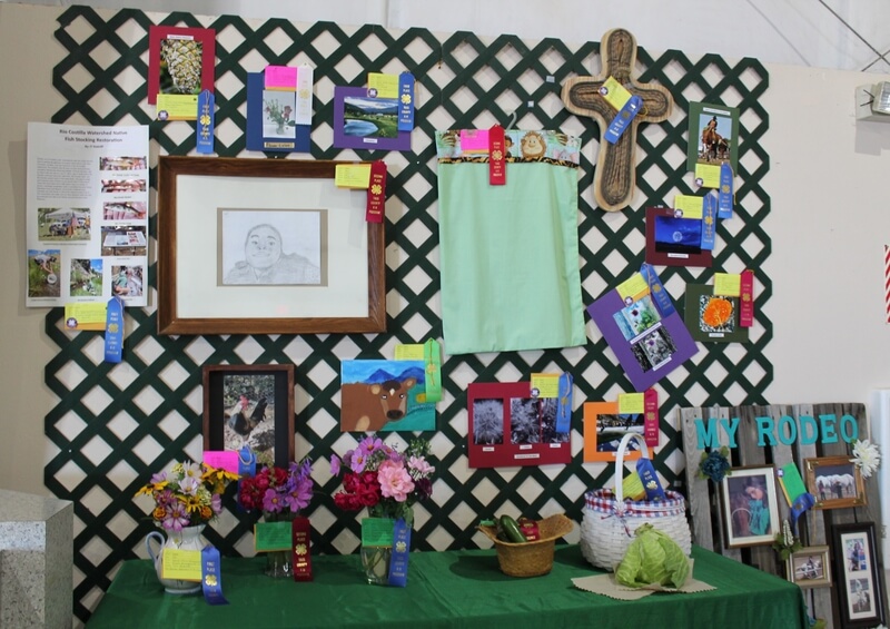 4-H Dept. '23 Entries and Ribbon Winners-Taos County Fair-Juan I. Gonzales Agricultural Center-Taos, NM